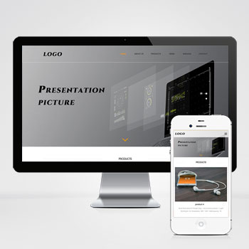 (自適應手機端)英文外貿網站建設案例 企業通用電子產品外貿網站制作案例