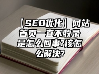 【SEO優化】網站首頁一直不收錄是怎么回事?該怎么解決?