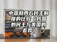 中國和西方民主制度的比較（我國的民主與美國的差異）