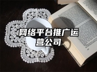 網(wǎng)絡(luò)平臺(tái)推廣運(yùn)營公司