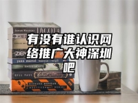 有沒有誰認(rèn)識網(wǎng)絡(luò)推廣大神深圳吧
