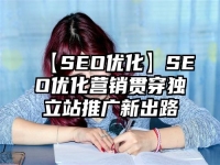 【SEO優化】SEO優化營銷貫穿獨立站推廣新出路