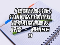 「蜘蛛日志分析」分析網站日志提升搜索引擎抓取友好度 - 鄭州SEO