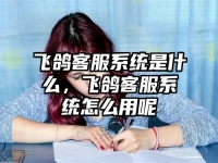 飛鴿客服系統(tǒng)是什么，飛鴿客服系統(tǒng)怎么用呢