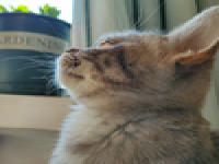 seo排名優化推薦