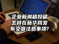企業(yè)新聞稿投稿怎樣在新華網(wǎng)發(fā)布文章注意事項?