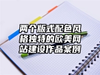 兩個版式配色風格獨特的歐美網站建設作品案例