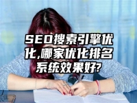 SEO搜索引擎優化,哪家優化排名系統效果好?