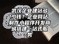 武漢企業建站多少錢？企業網站制作小程序開發商城搭建一站式服務