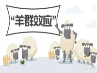 為什么要選擇我們的產(chǎn)品