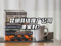 昆明網(wǎng)絡(luò)推廣公司哪家好?
