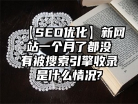 【SEO優化】新網站一個月了都沒有被搜索引擎收錄是什么情況?