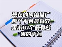 現在的網絡推廣哪個平臺最有效果求10個最有效果的平臺