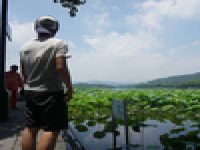 在哪里可以找到個人推廣者啊