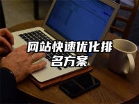網(wǎng)站快速優(yōu)化排名方案
