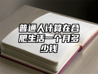 普通人計(jì)算在合肥生活一個(gè)月多少錢(qián)