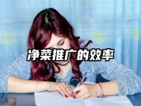 凈菜推廣的效率